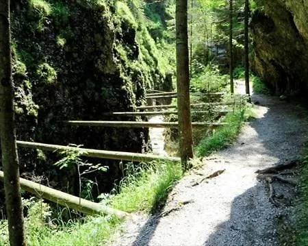 بيت للعطل Borovka