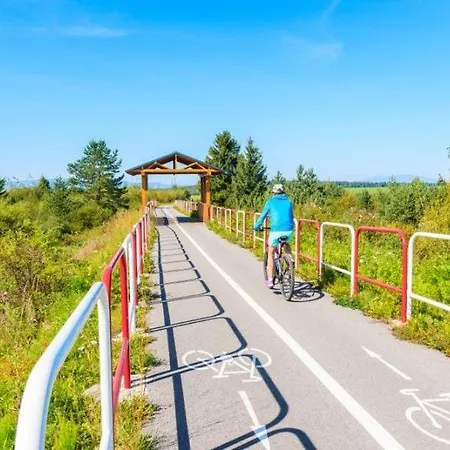 Borovka بيت للعطل Vitanová