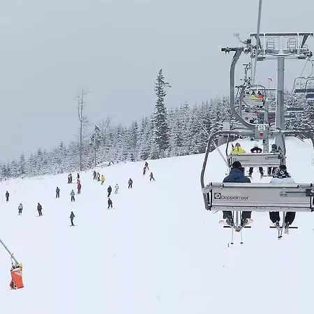 بيت للعطل Borovka *