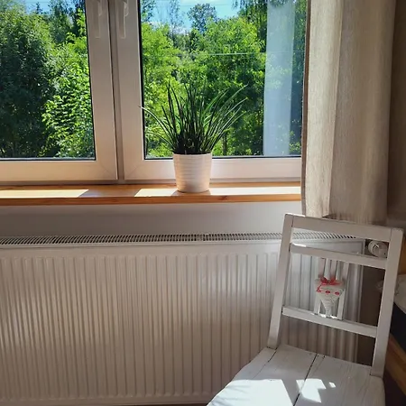 Borovka Holiday home