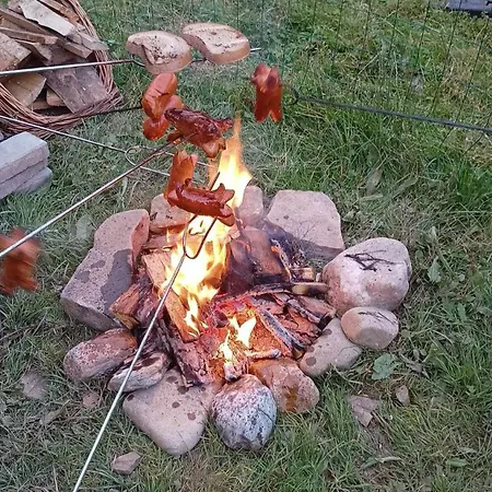 Borovka Holiday home *