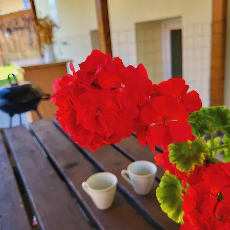 Borovka Holiday home Vitanova