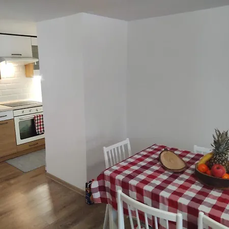 Borovka Holiday home *