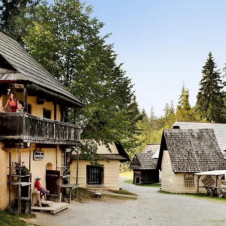 Borovka بيت للعطل Vitanová