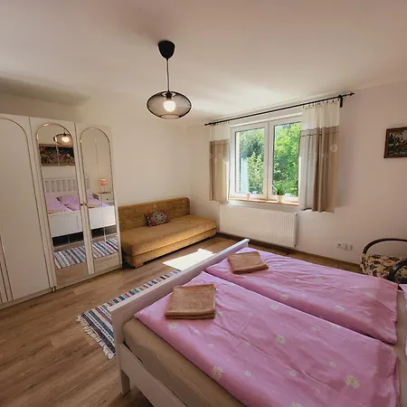 Borovka Holiday home *