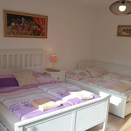 Borovka بيت للعطل Vitanová