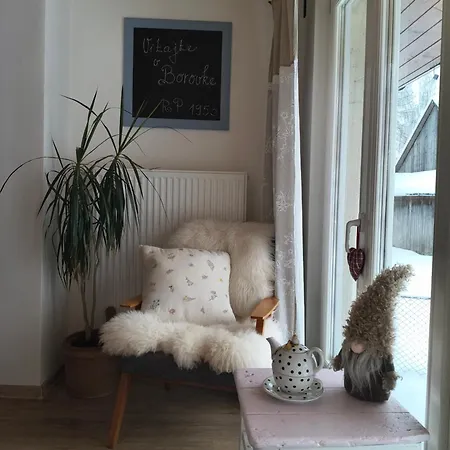 بيت للعطل Borovka *