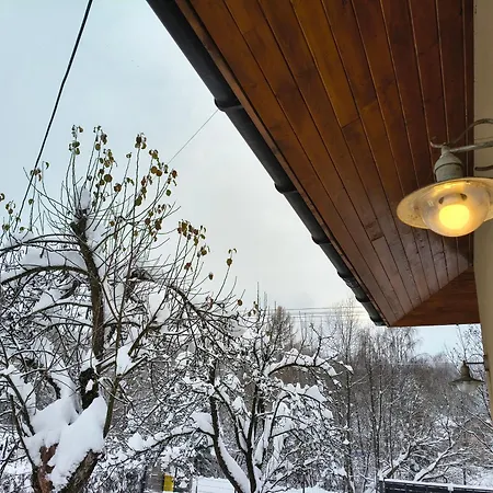 Borovka Holiday home *